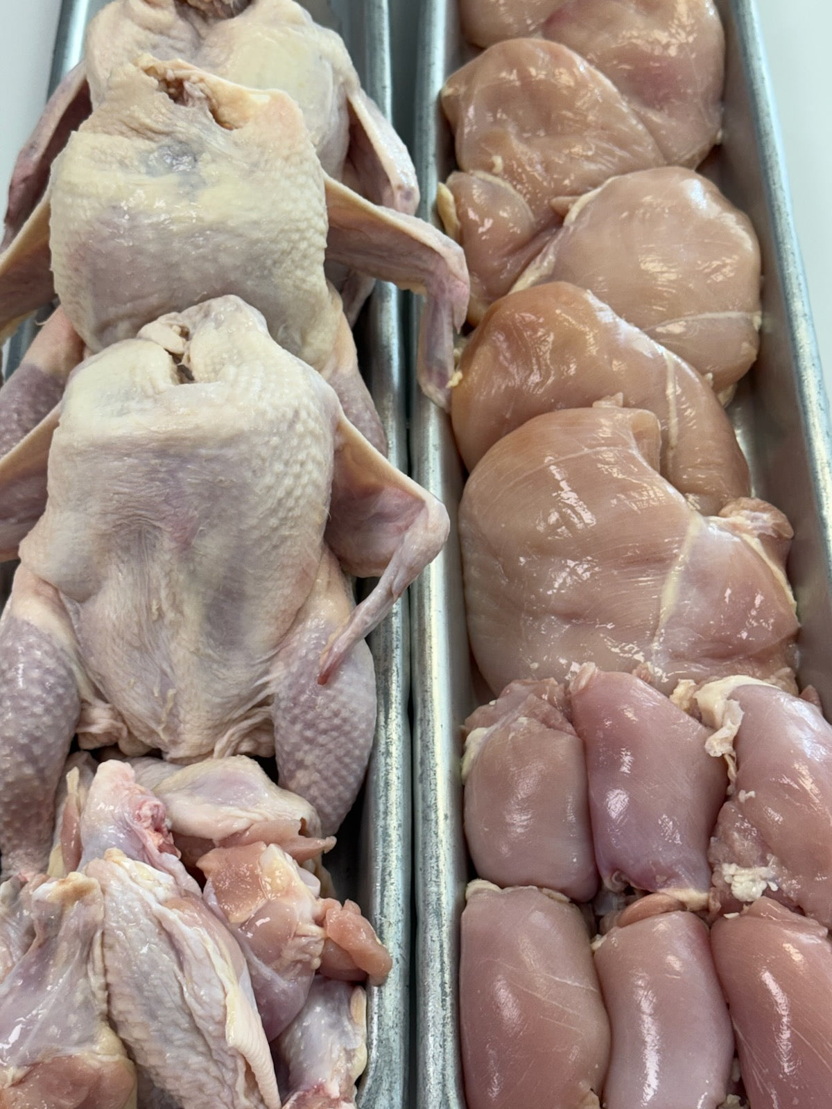 Chicken